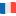 Language Flag